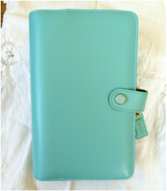 My New Color Crush Binder