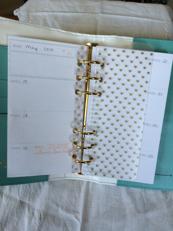 Inside my new Color Crush planner ~ Weekly Pages